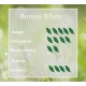 Borneo White