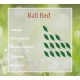Bali Red